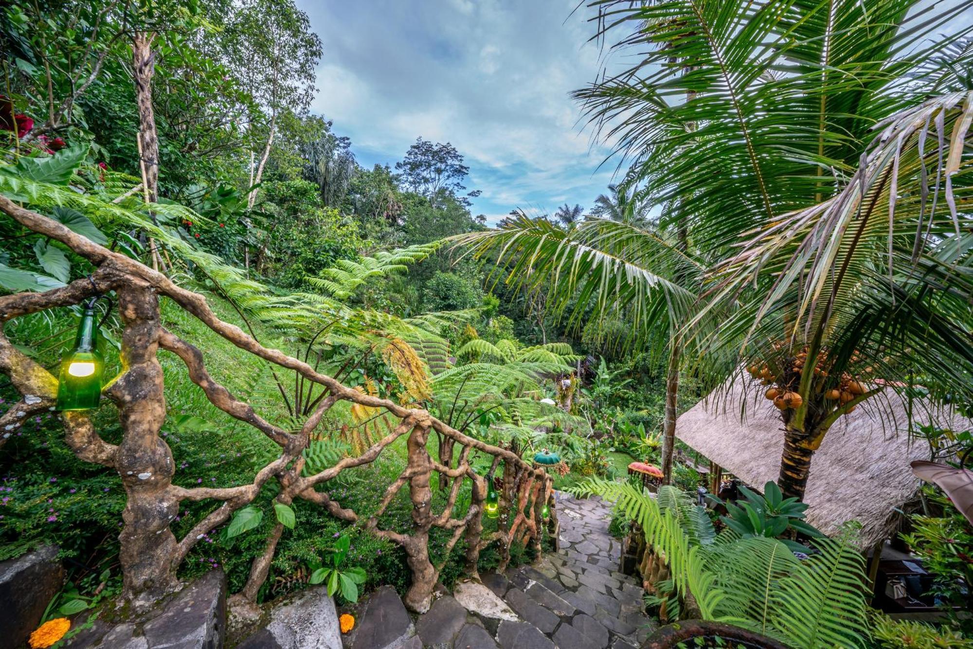 Yoga Maya Villa Payangan Exteriér fotografie
