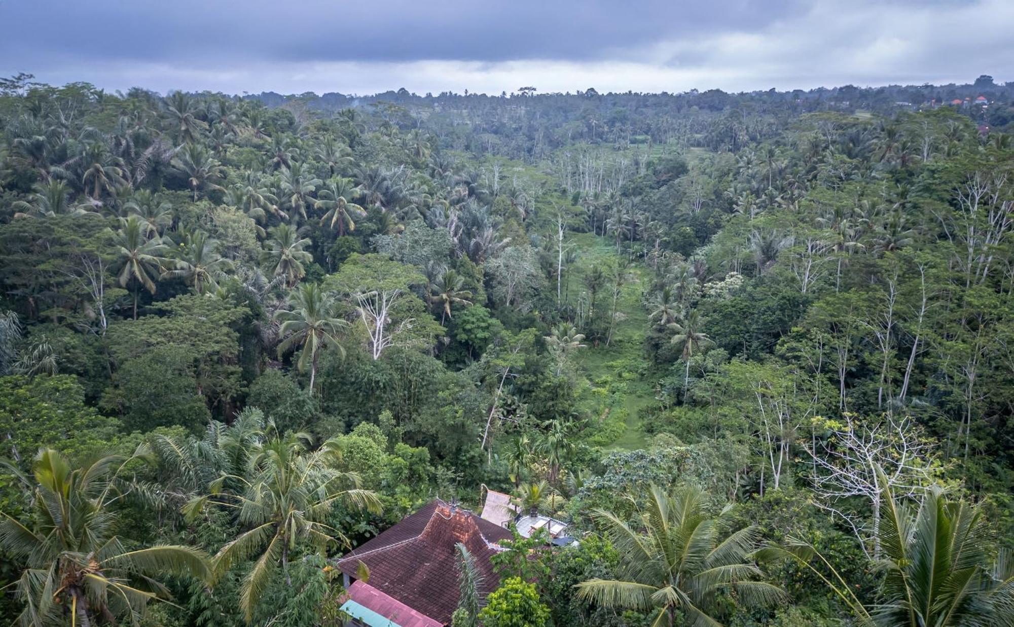 Yoga Maya Villa Payangan Exteriér fotografie